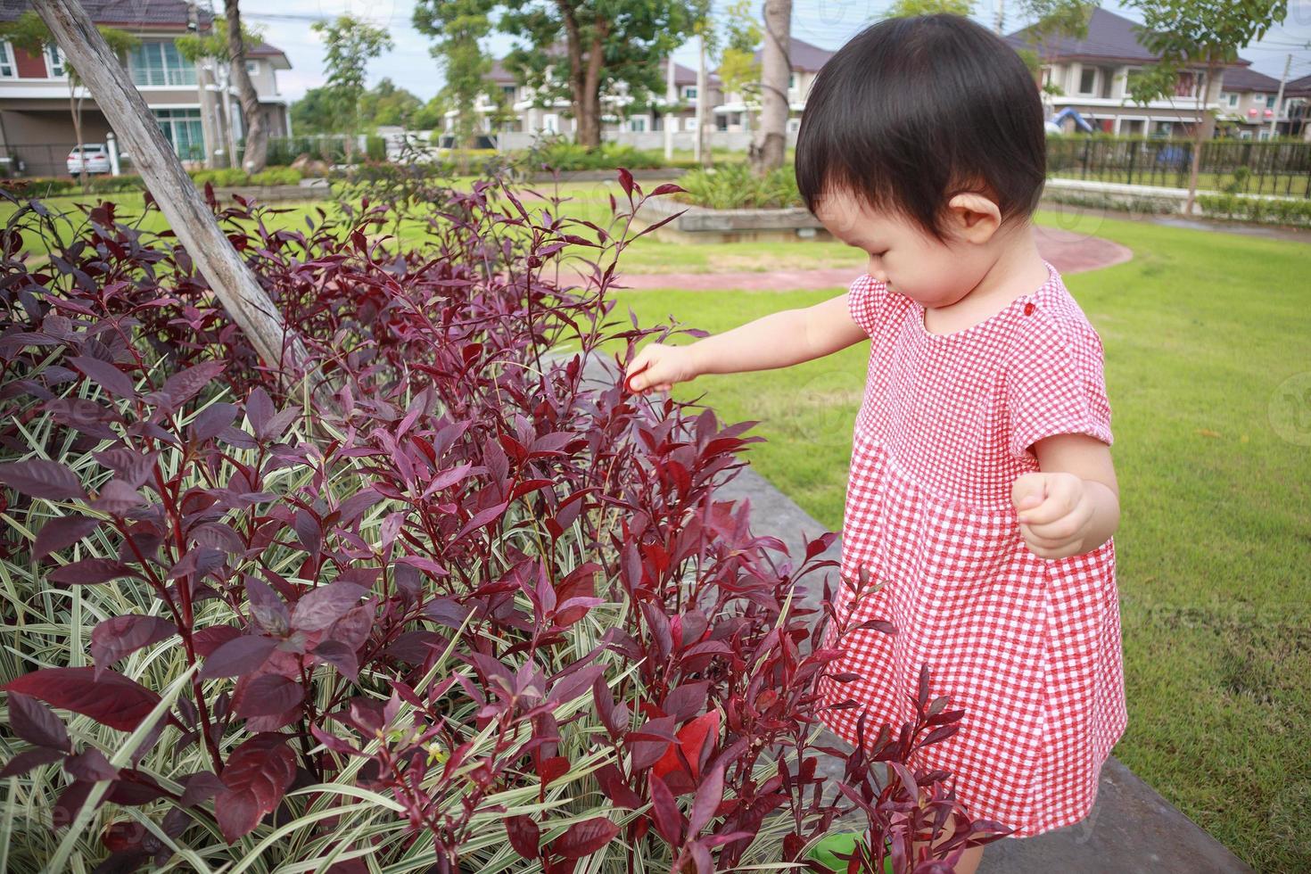 Little asian baby girl playing and holding plant leaf in the park outdoor photo
