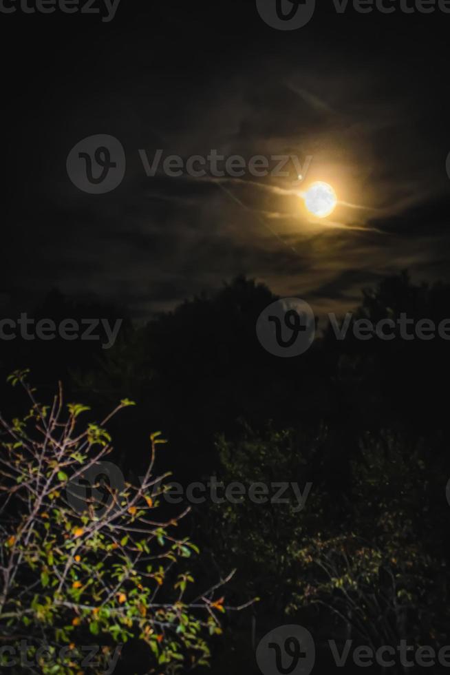 la luna naranja foto