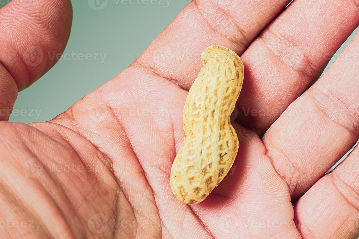 concepto de crisis alimentaria. inanición. 1 maní en la mano. foto