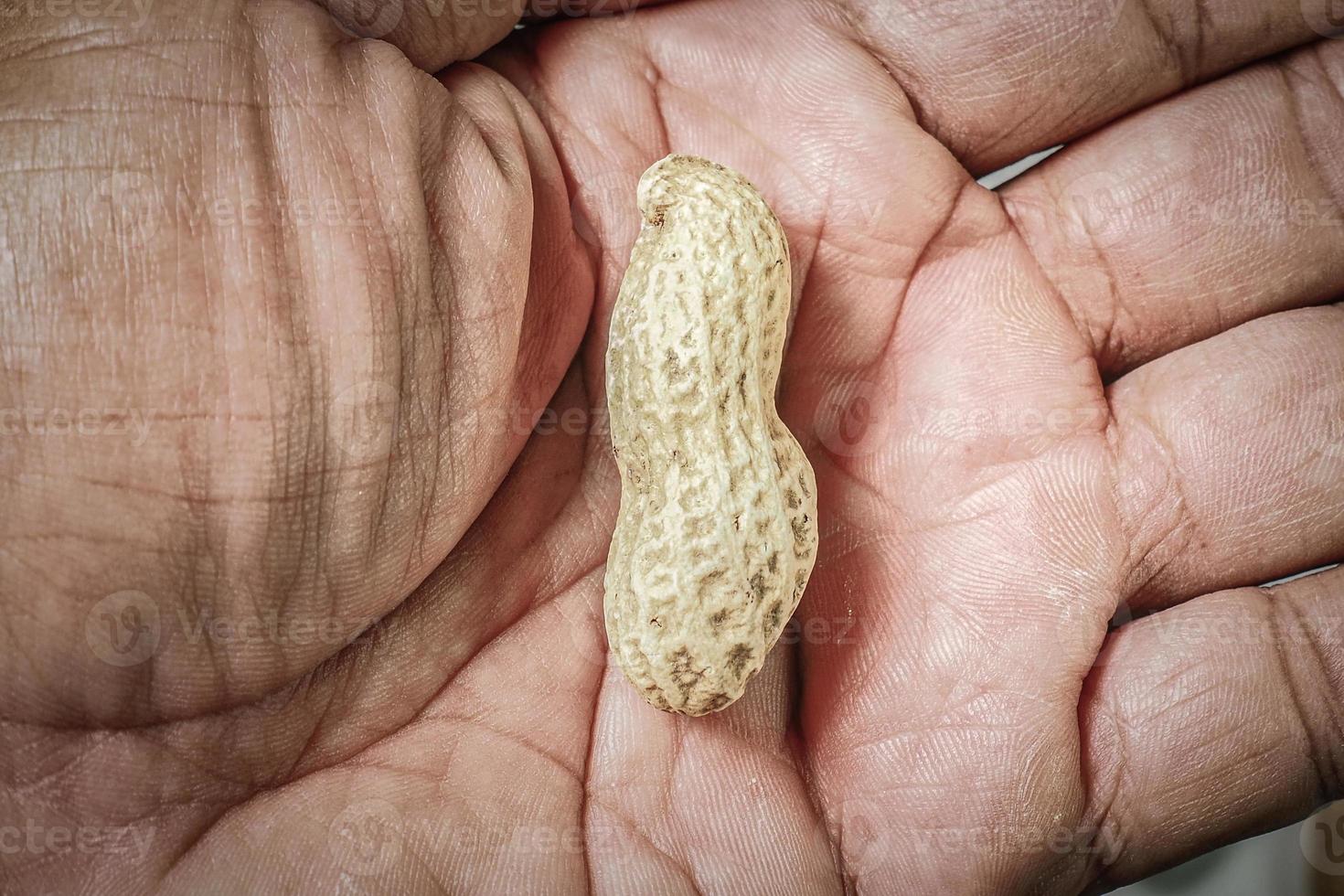 Food crisis concept. Starvation. 1 peanut in hand. photo