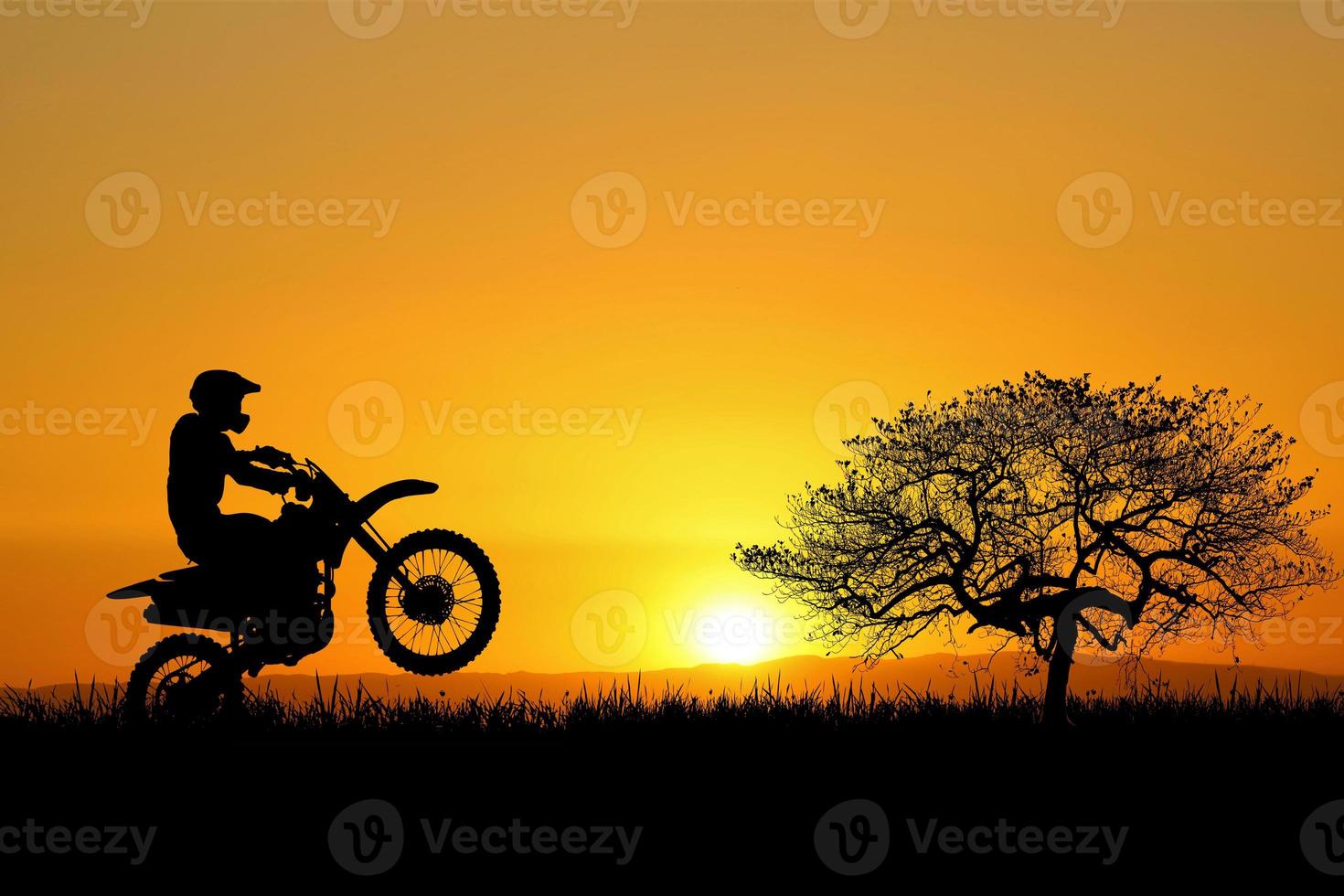 Silhouette for a beautiful evening or morning light background with copyspace for content. photo