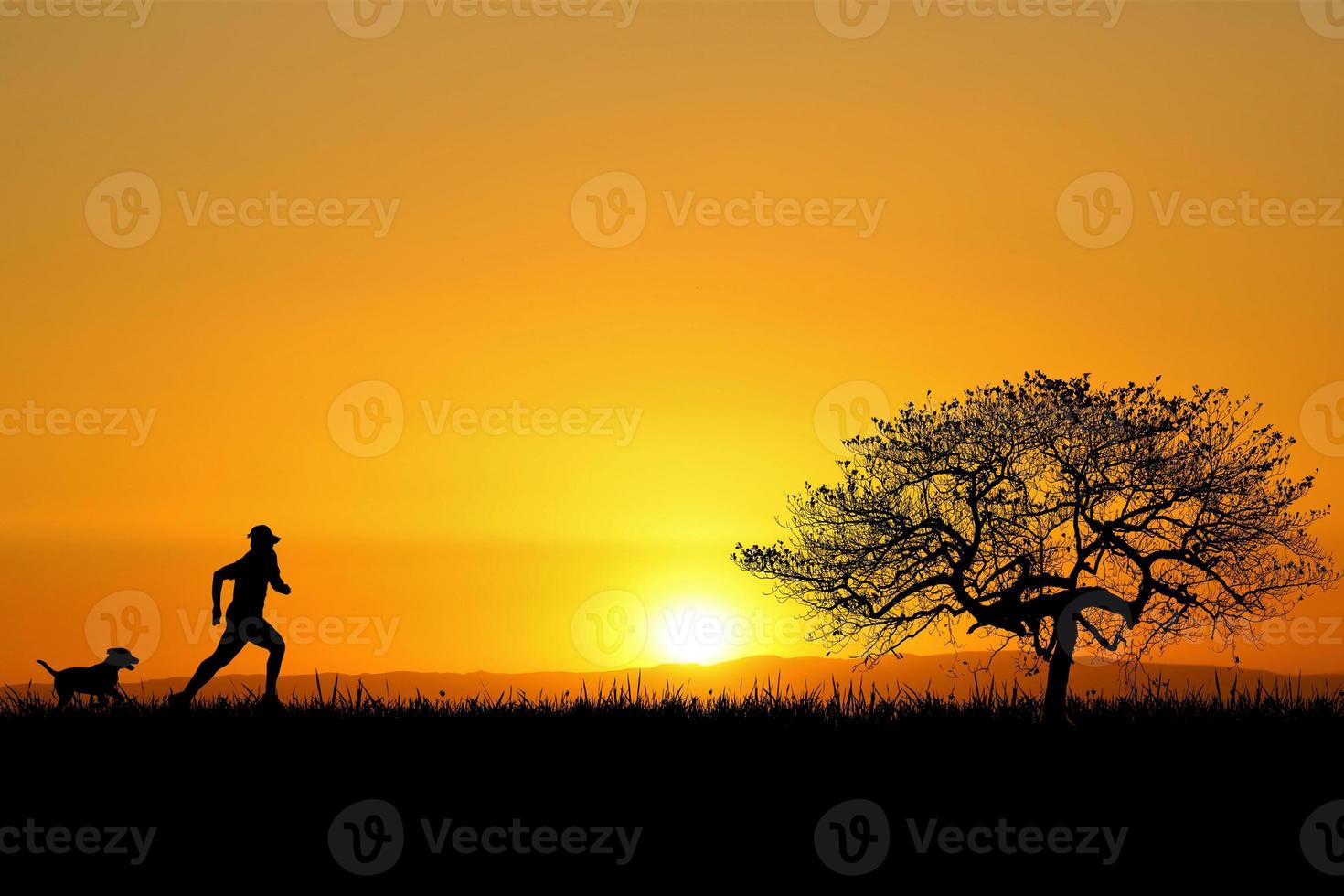 Silhouette for a beautiful evening or morning light background with copyspace for content. photo