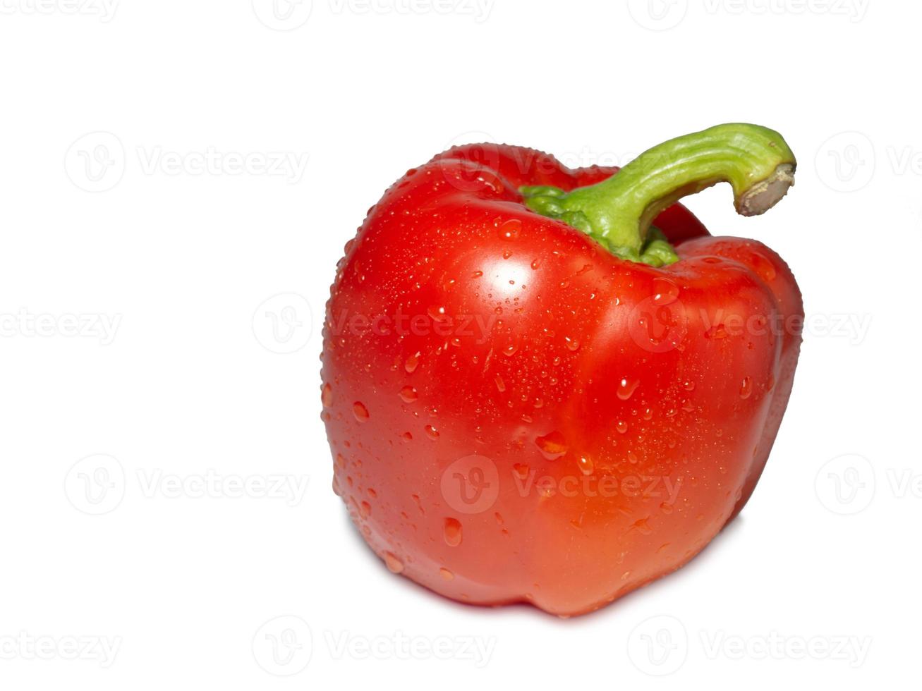 pimiento rojo sobre un fondo blanco. un vegetal saludable en gotas de agua. foto