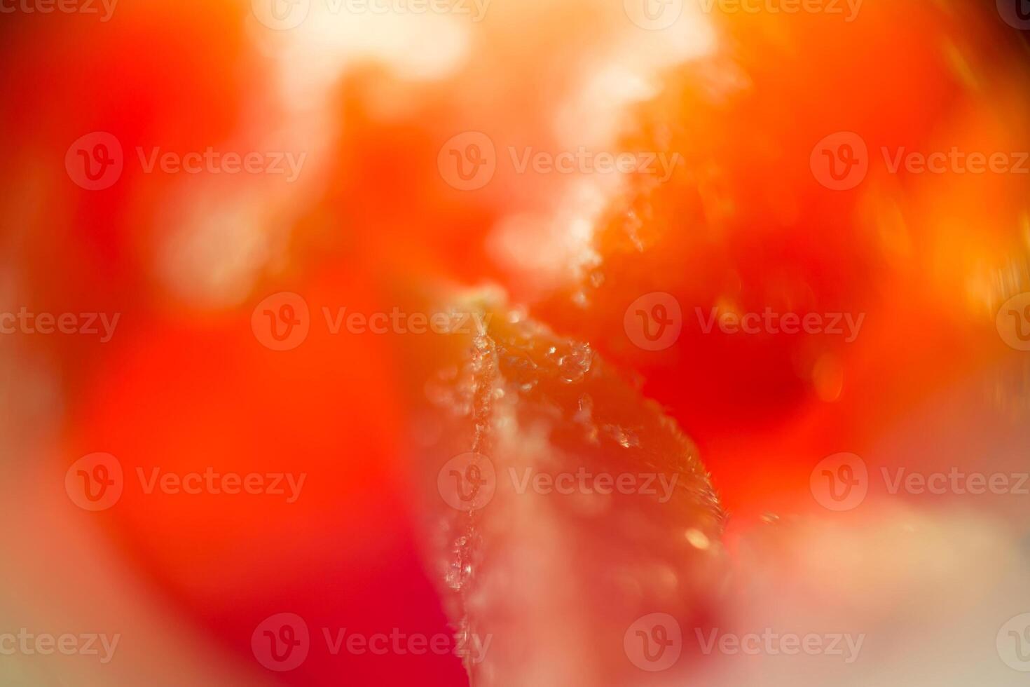 Frozen Vegetables Macro photo