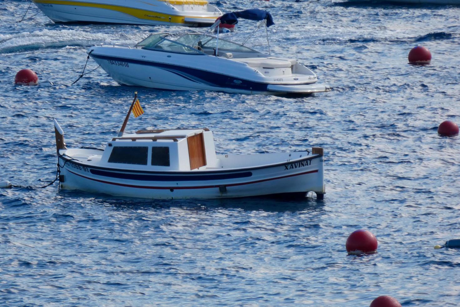 Recreational boats moored in a bay photo