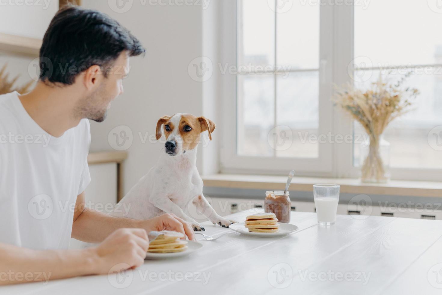 tiro horizontal del hombre y el perro comen juntos, posan en la mesa de la cocina contra una gran ventana, se miran, tienen una buena relación, disfrutan del ambiente doméstico. hogar, animales, concepto de nutrición foto