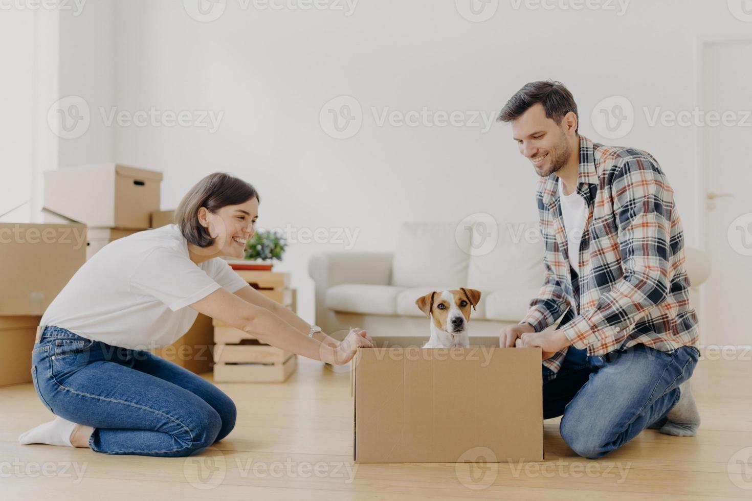 Horizontal shot of lovely woman moves cardboard box with small puppy to husband side, spend free time together, move in new modern dwelling, unpack belongings, start new life in modern flat. photo