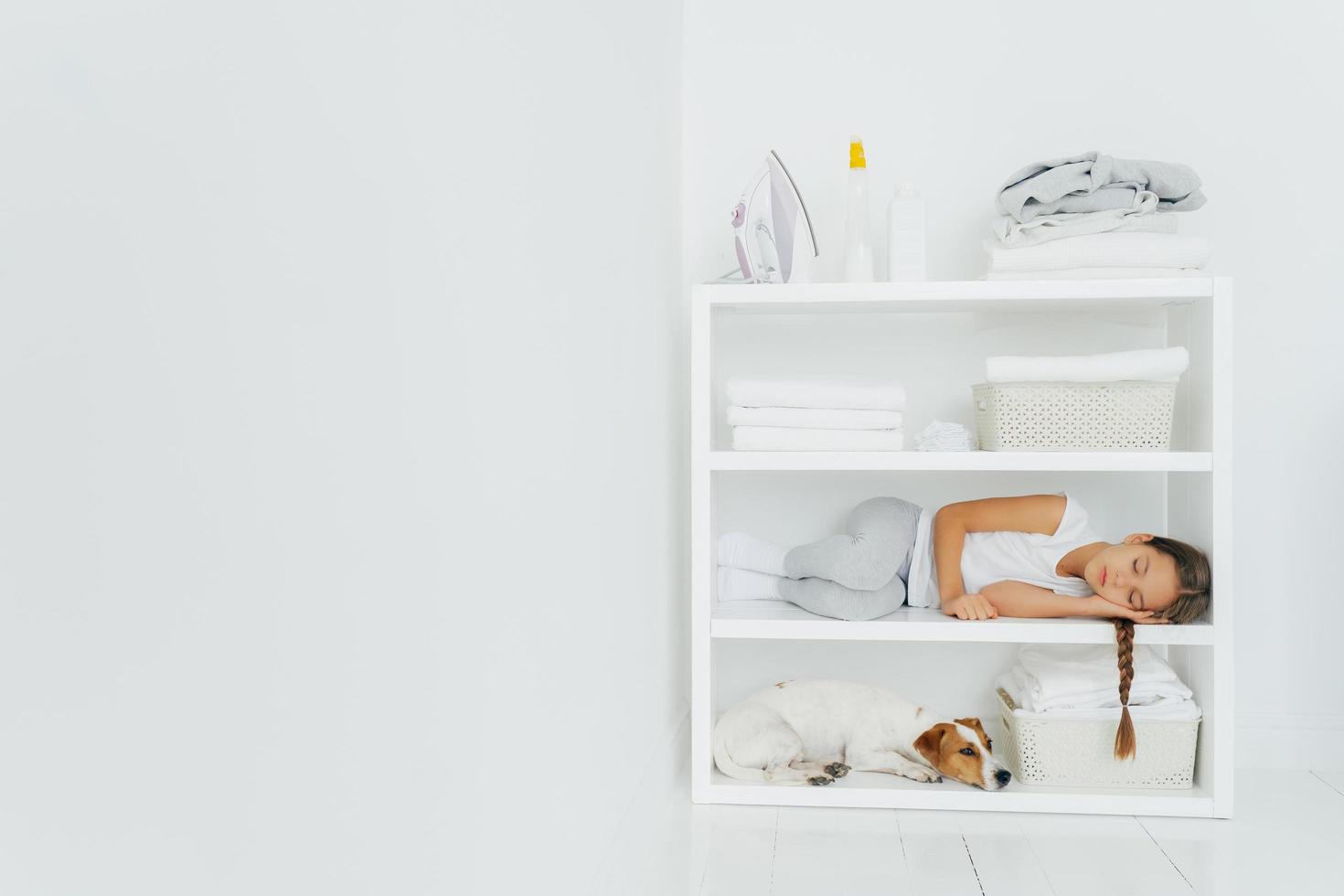 Horizontal shot of restful girl lies on console with dog, rests after folding towels in washing room, fall asleep after domestic work, white wall, copy space on left side for your promotional content photo