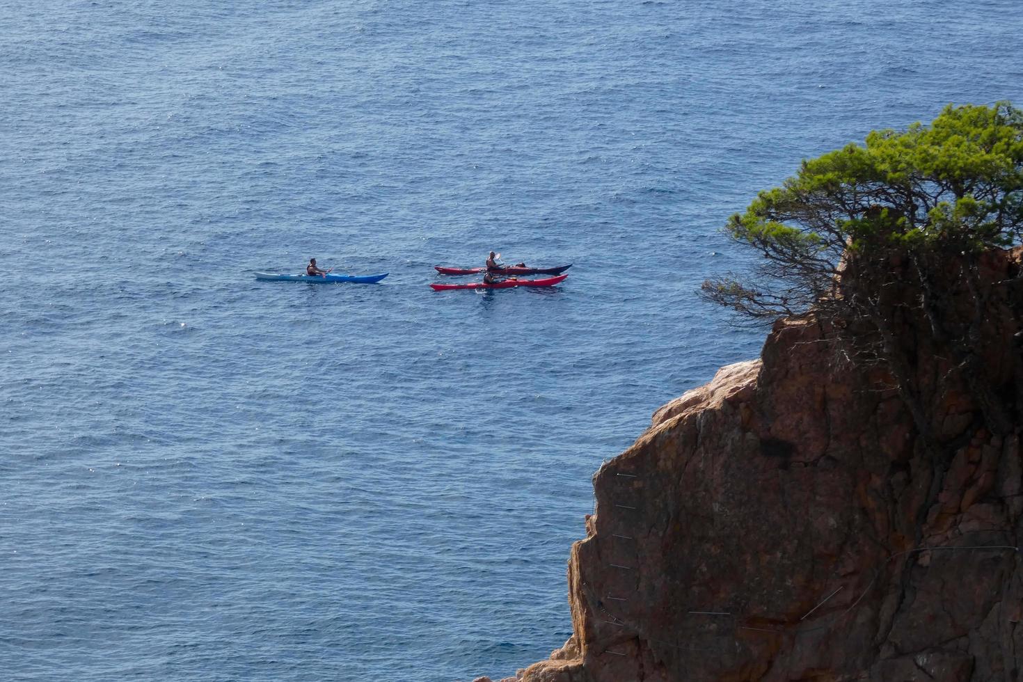 Coast with rocks and blue sea full of trees that reach almost to the sea. photo