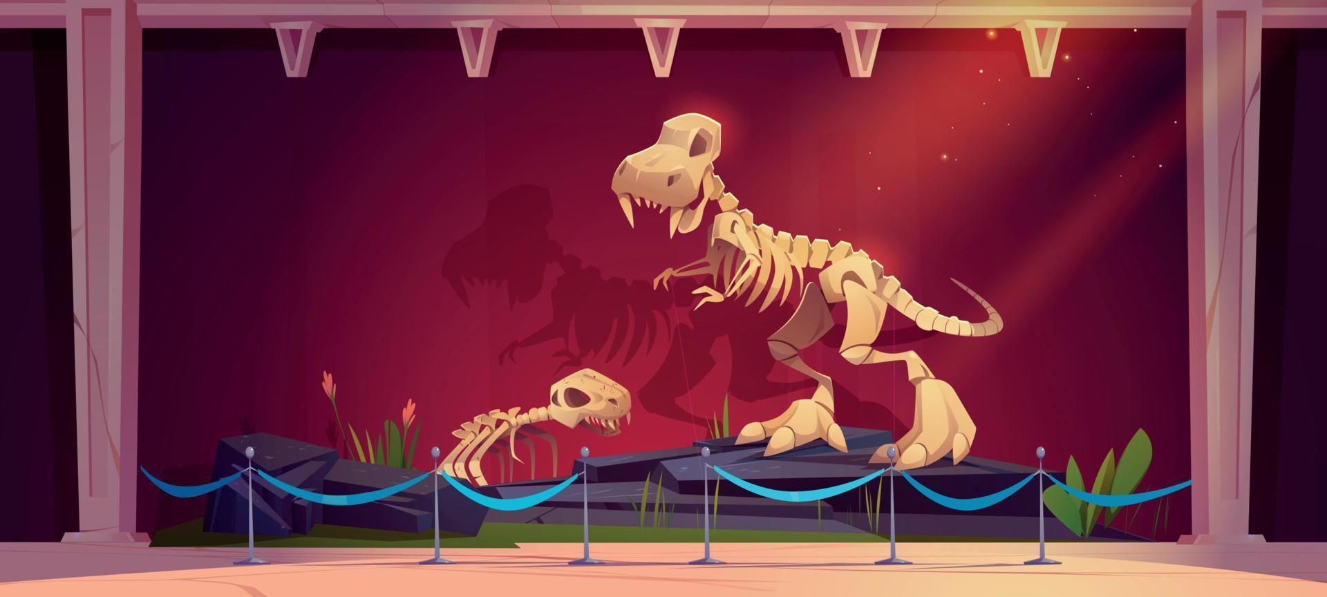 Historical museum exhibition with dinosaur skeletons vector