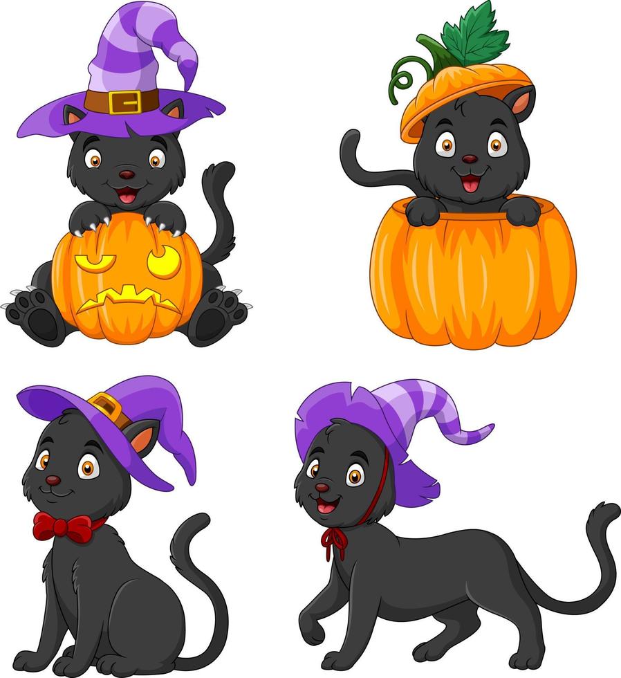 colección de gatos negros con calabaza vector