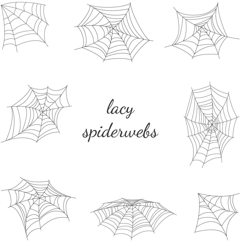 lacy spiderwebs collection vector