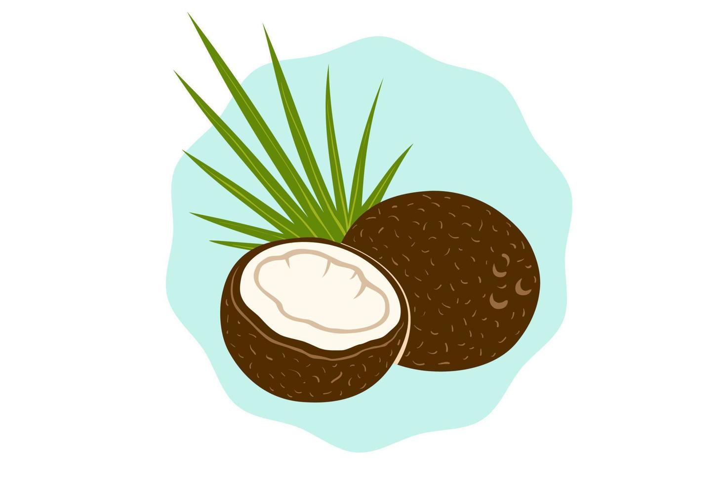 Vector emblem of coconut with palm leaf in retro style. Vector illustration of coconut for shop.