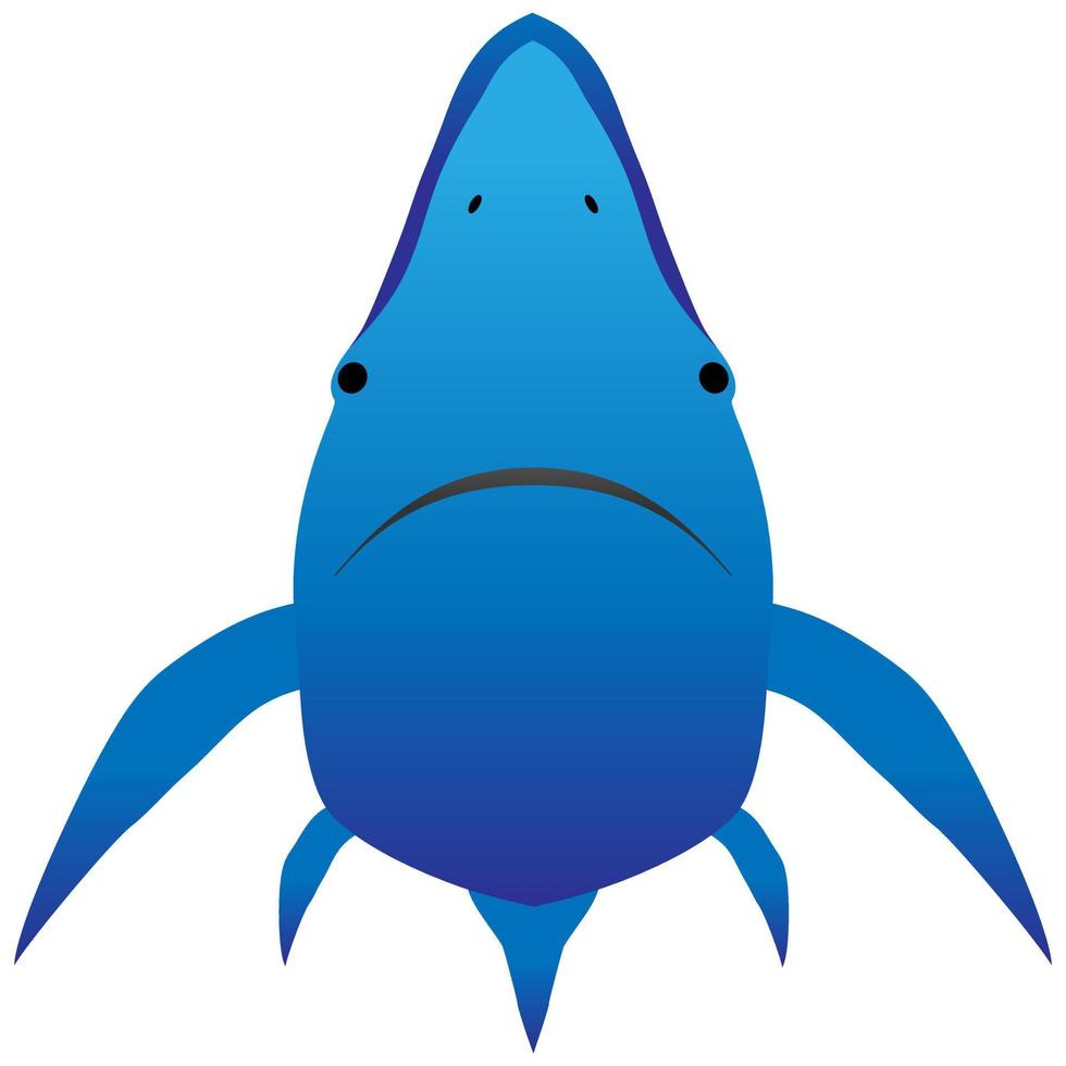 Cartoon shark logo isolated on white background - vector, shark fin icon, vector logo design