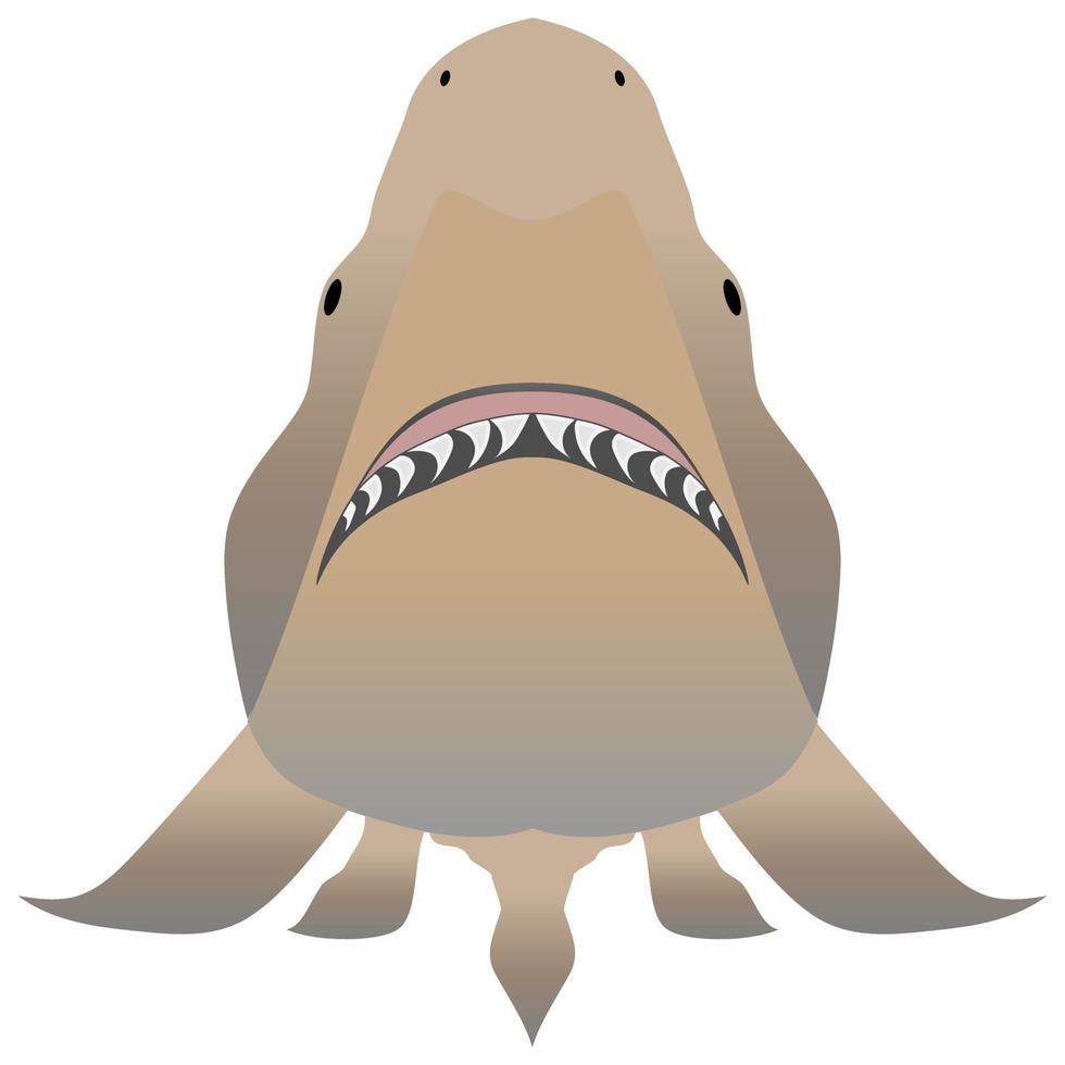 Bull shark with opened mouth in attack position and sharp teeth vector