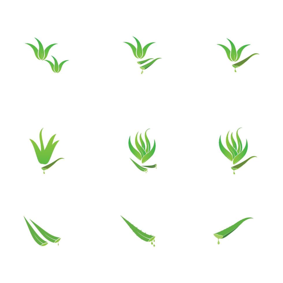 plantilla de diseño de ilustración de logotipo de aloe vera vector