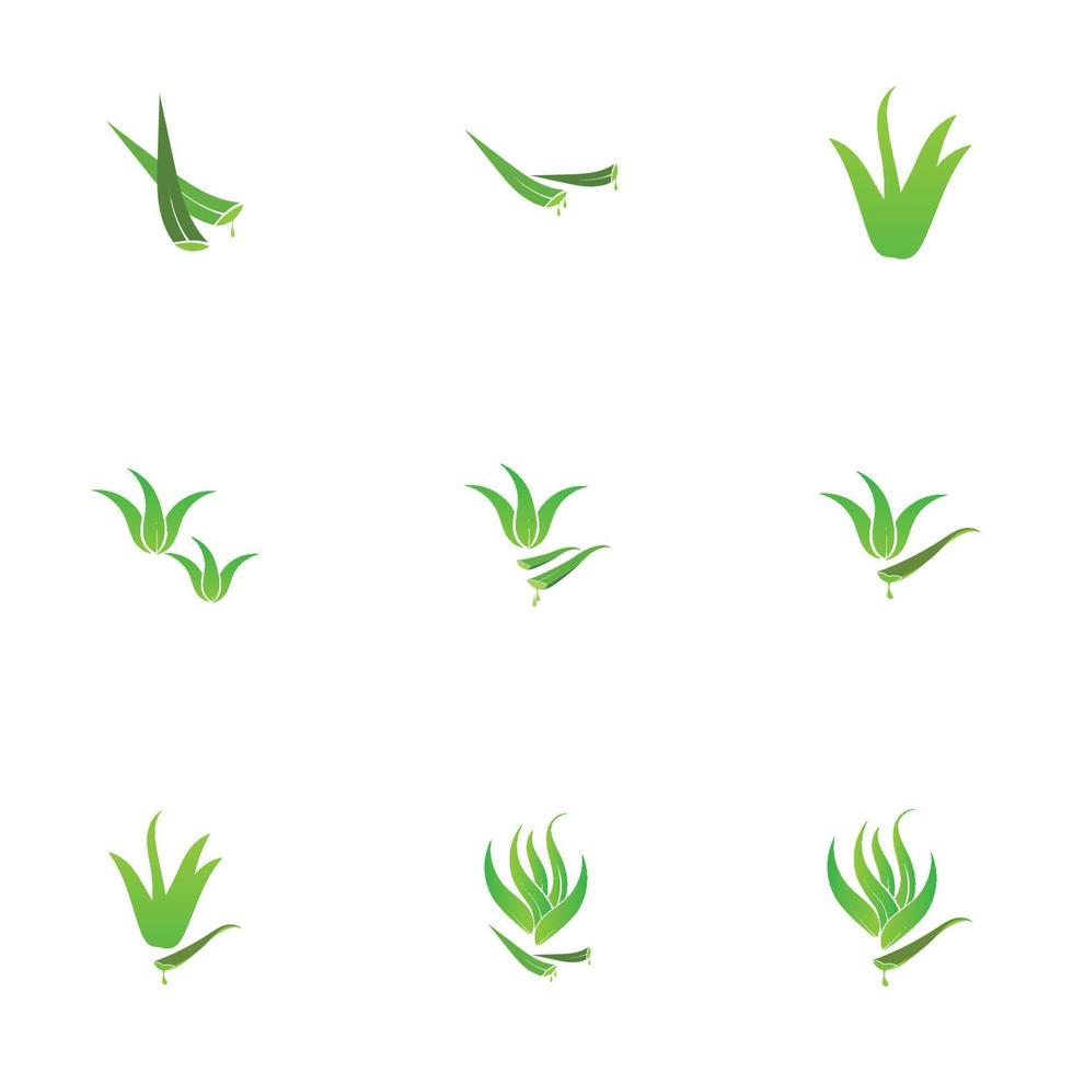 plantilla de diseño de ilustración de logotipo de aloe vera vector