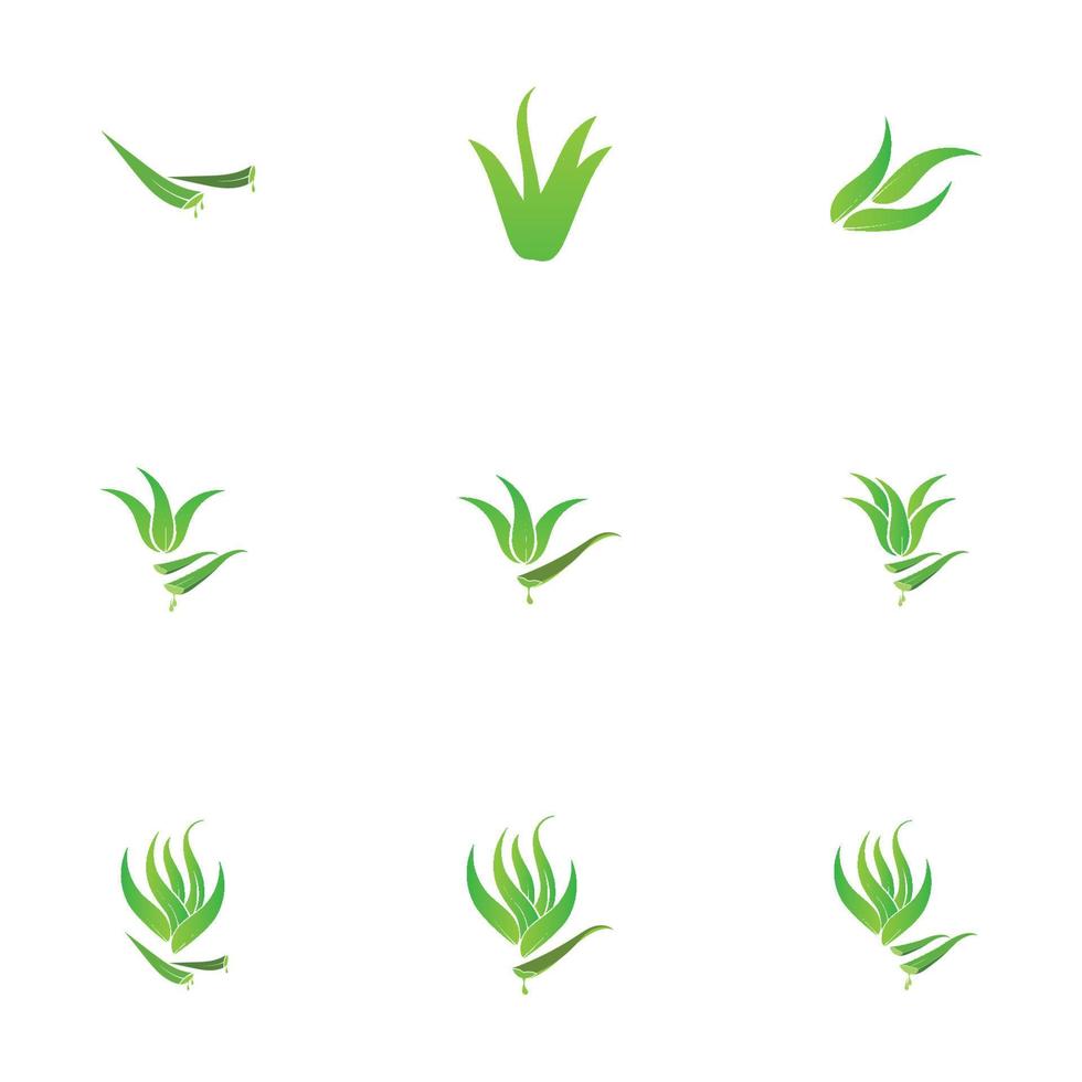 plantilla de diseño de ilustración de logotipo de aloe vera vector