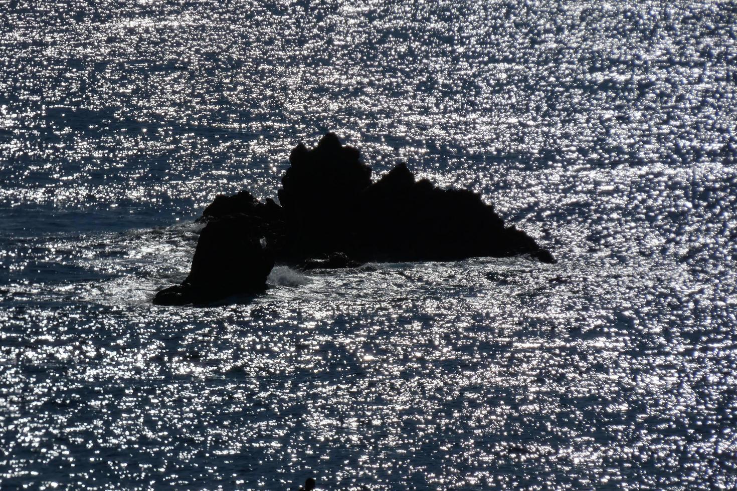 pinos, rocas y acantilados en la costa brava catalana en el mar mediterráneo foto