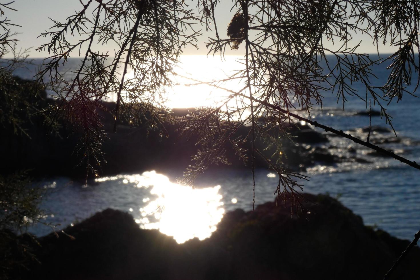 coastal path of the Costa Brava in the area of S'agaro photo