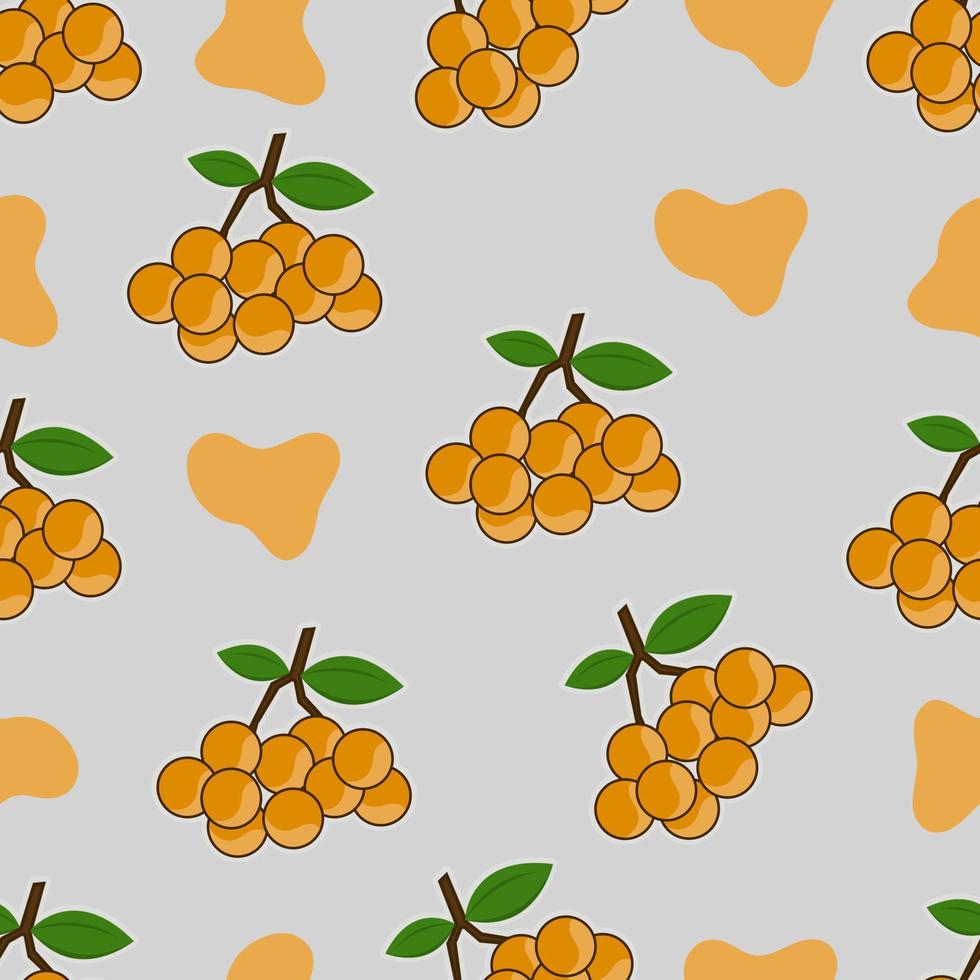 fondo transparente de fruta longan para productos digitales y colección de diseño. vector