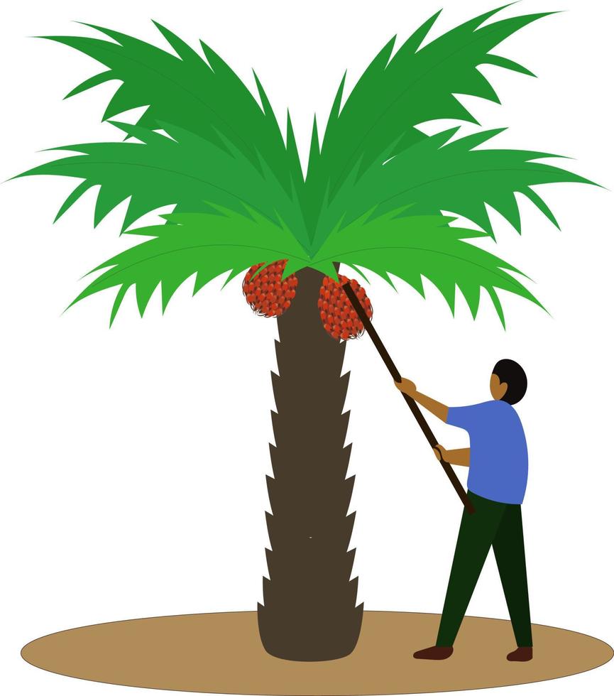 trabajador en la granja de palma de coco para molinos de aceite ilustración gráfica vectorial, los agricultores de kalimantan cosechan aceite de palma vector