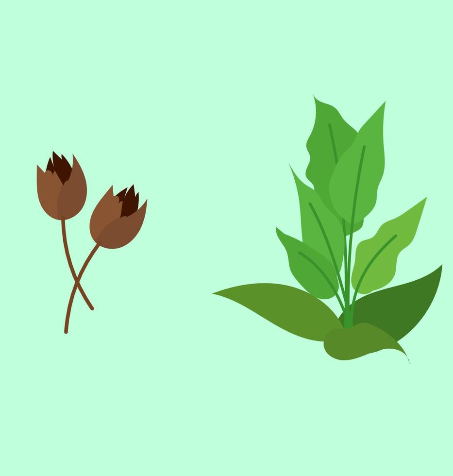 tobacco plant in farm and garden, tobacco flower for making cigarette, smoking and addiction, vector graphic illustration