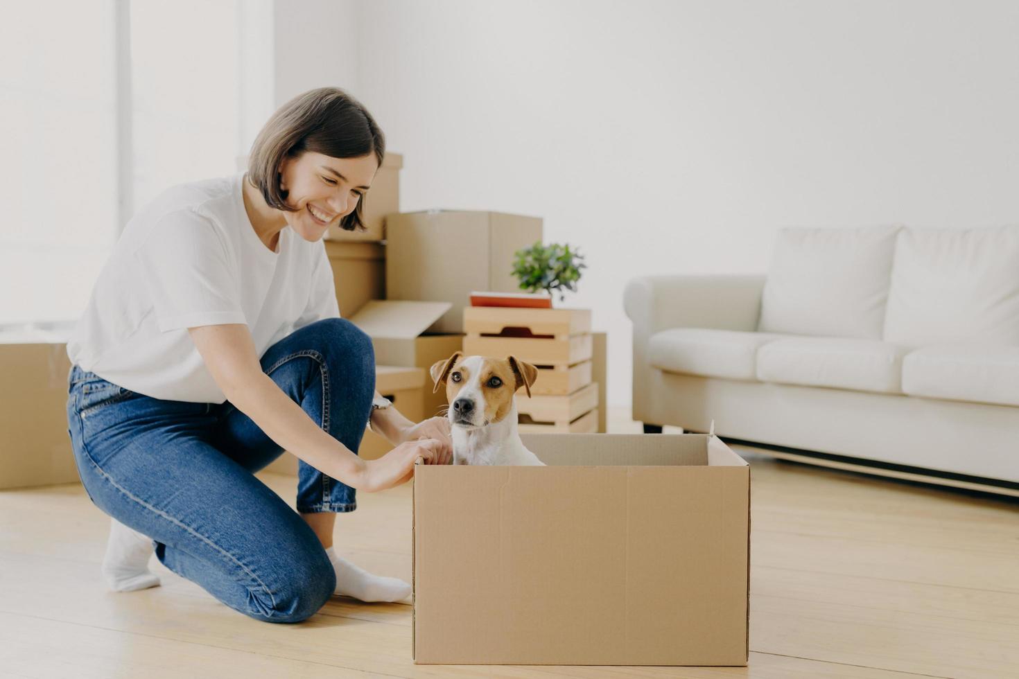 Happy lovely woman dressed in casual clothes, plays with favourite pet who poses in carton box, pose in white spacious room, lives in rented house express positivity. Moving Day and relocation concept photo