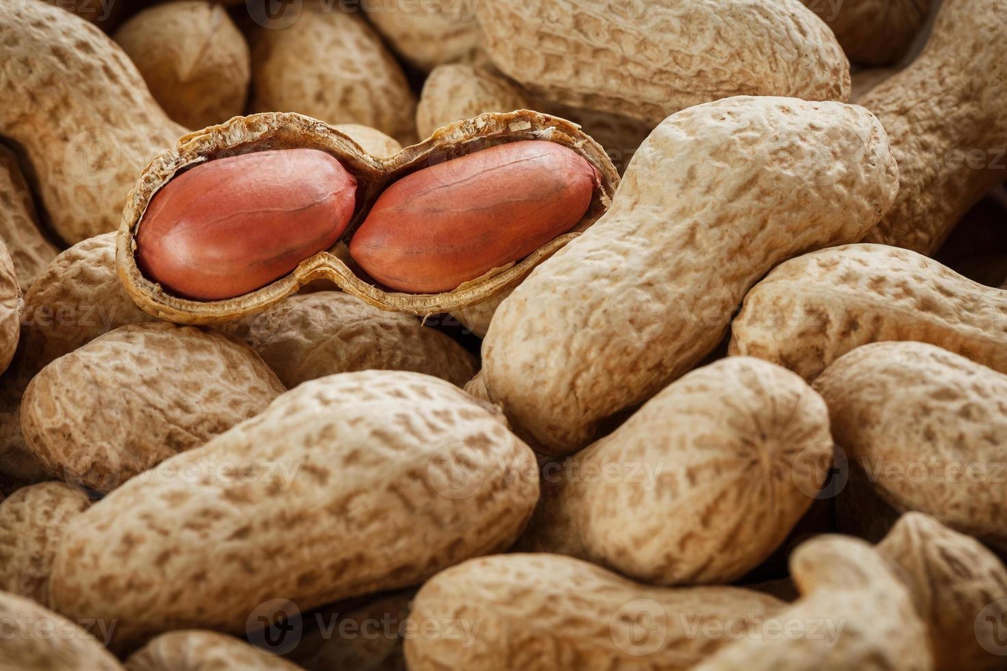 Peanut beans, shelled on a peanut texture background. photo