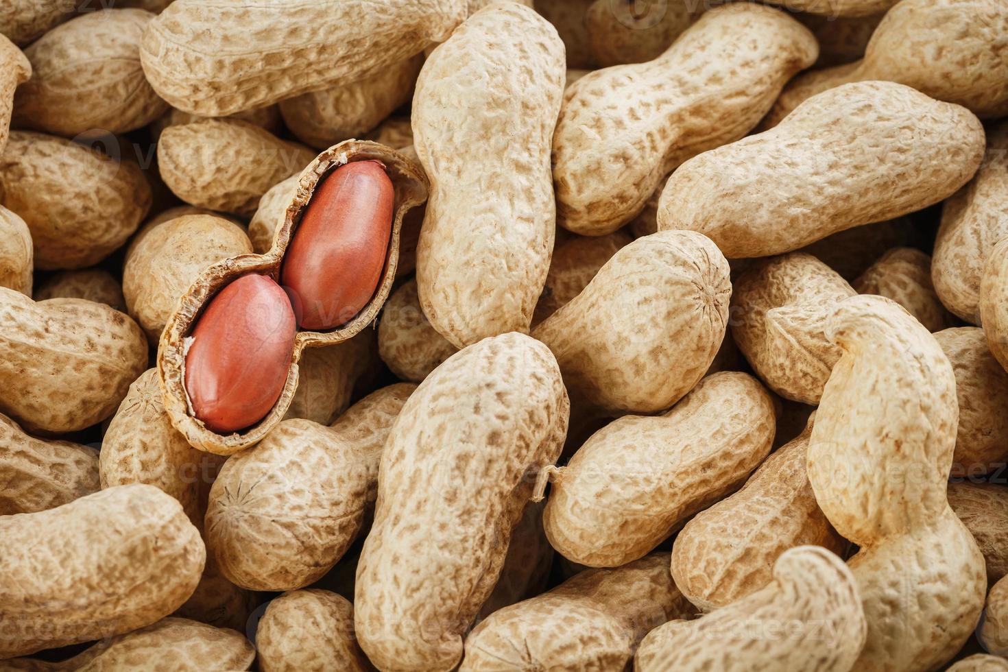 Peanut fruit peeled against the background of unpeeled peanuts. photo