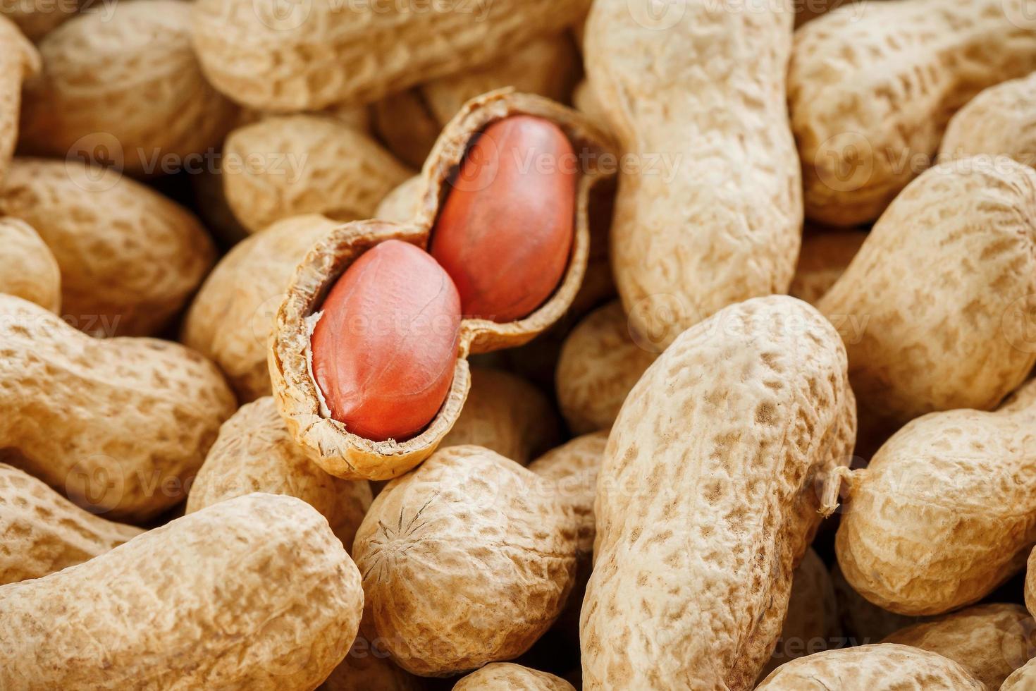 Peanut beans, shelled on a peanut texture background. photo