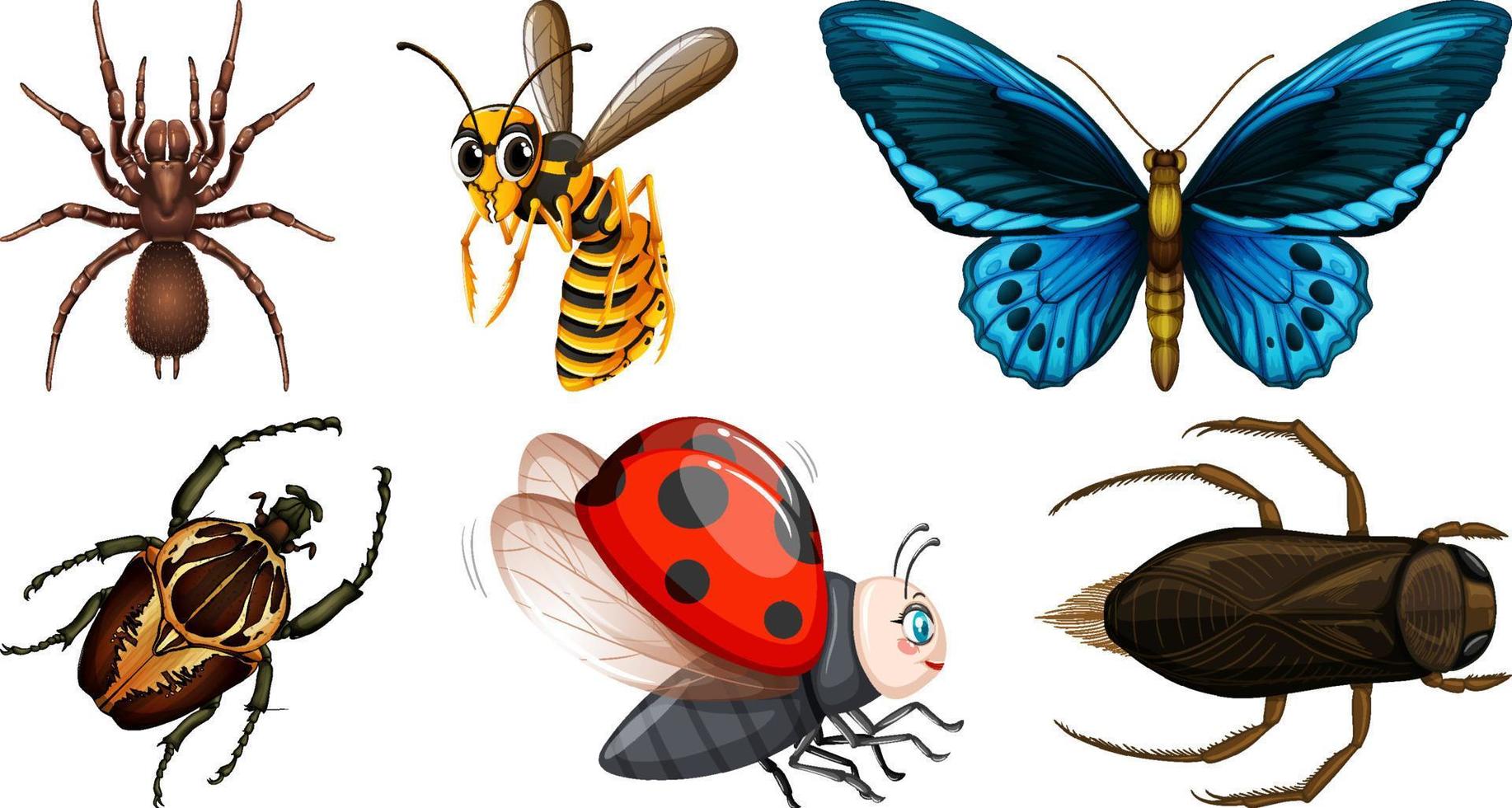 Set of different kinds of insects vector