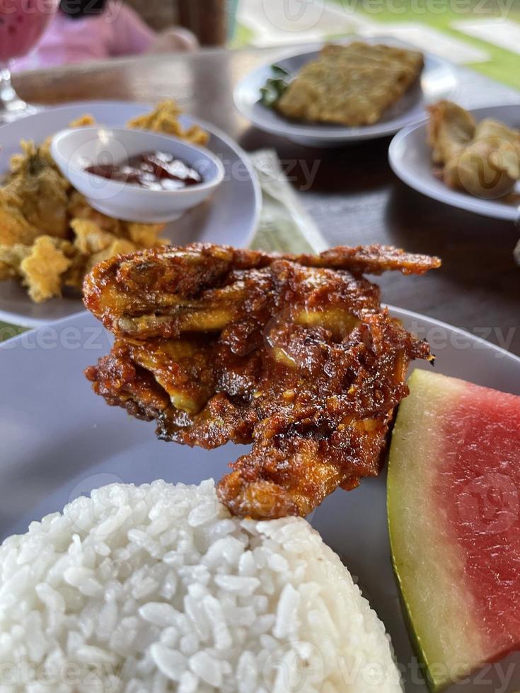 Fried chicken with rice and water melon photo