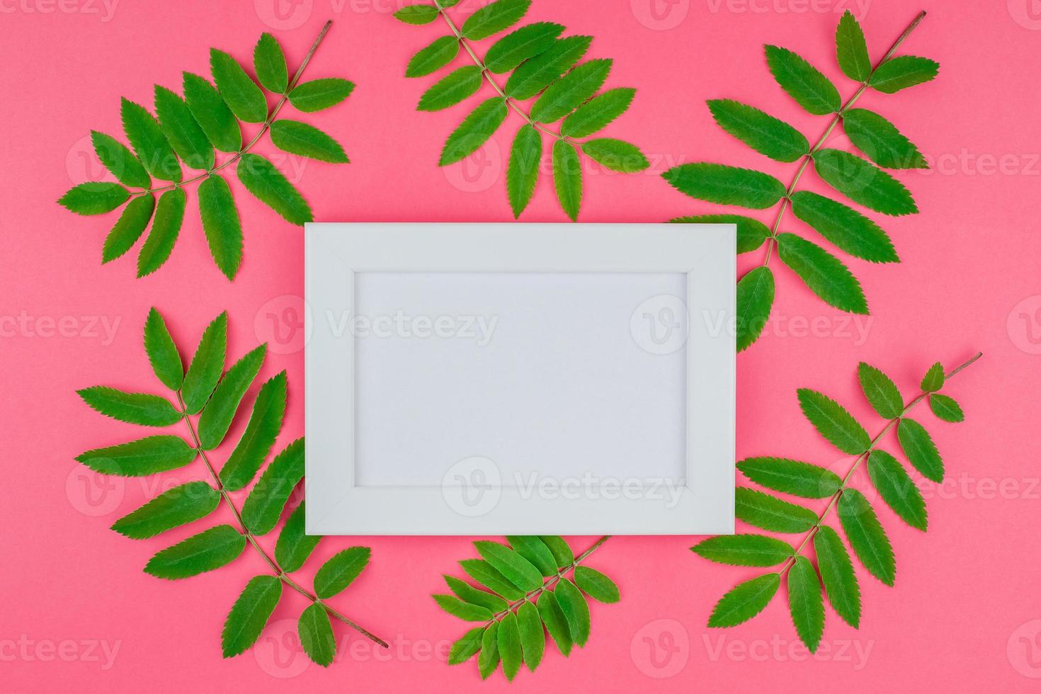 Frame mock up with fresh green leaves photo