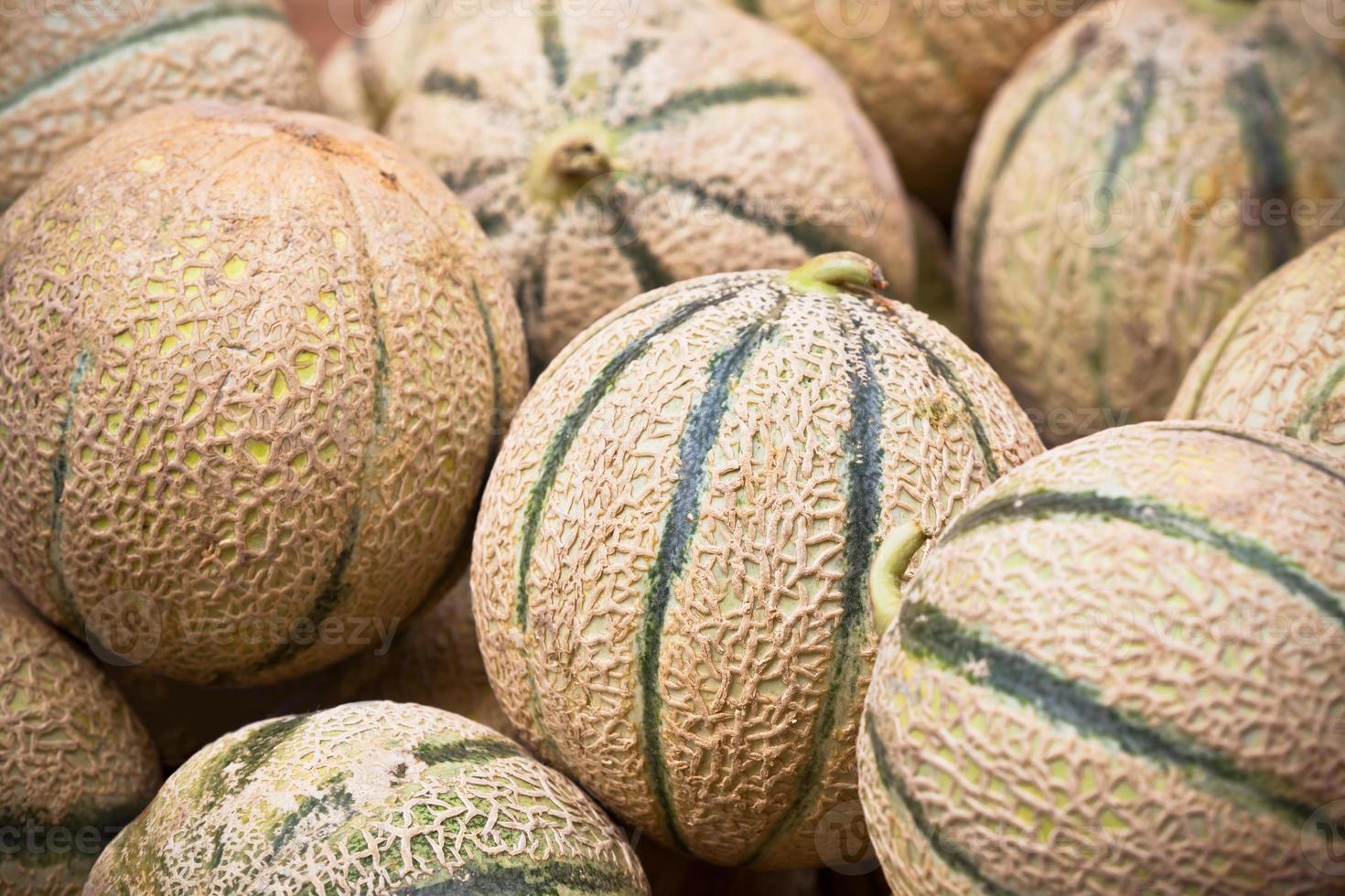 Ripe fresh melons pile in a market photo