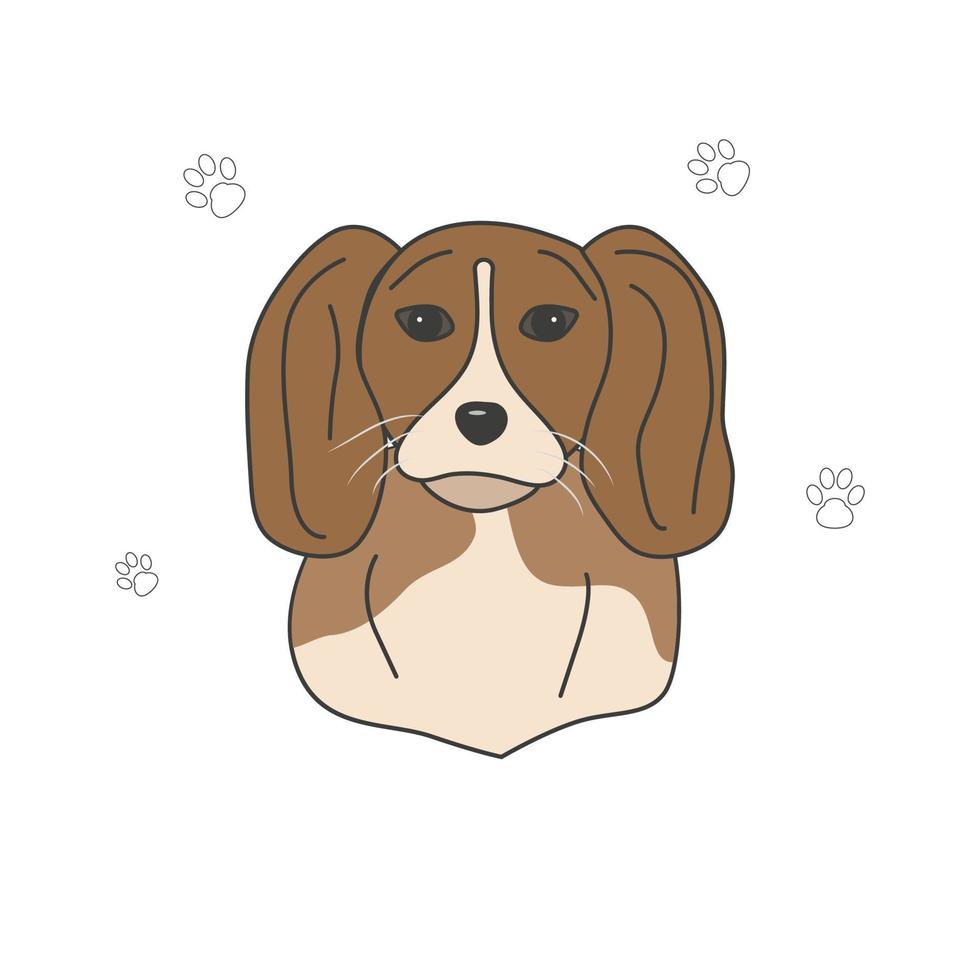 raza de perro beagle al estilo de duddle para carteles pósters vector