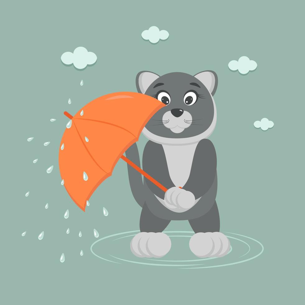 grey cat with an orange umbrella under the cold autumn rain vector