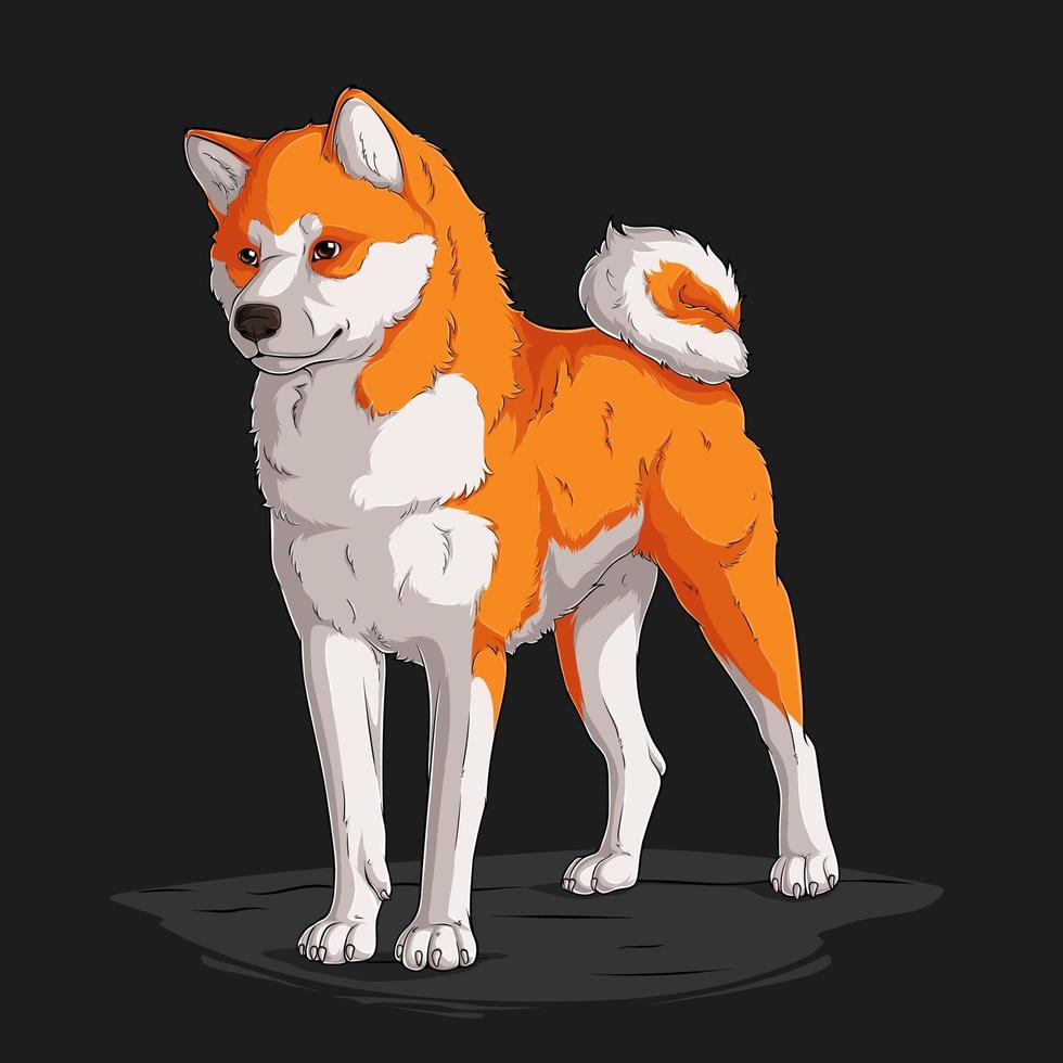 Hand drawn powerful dog breed Shiba Inu standing in full length isolated on black background vector