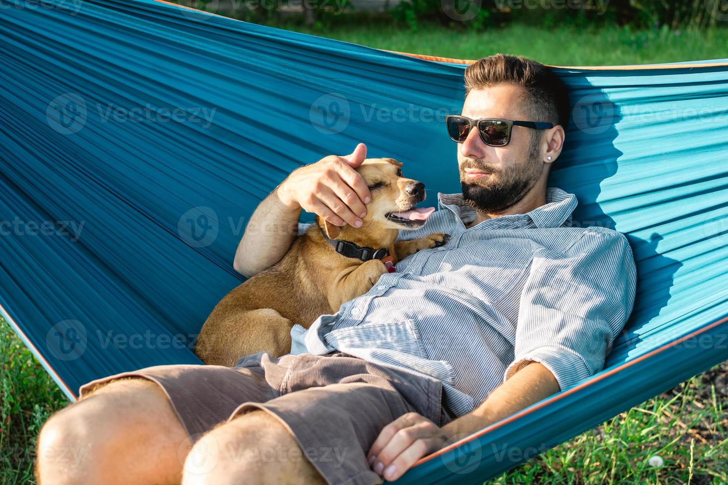 Cute little dog is yawing. Resting of dog with his owner in hammock on sunny summer day. photo