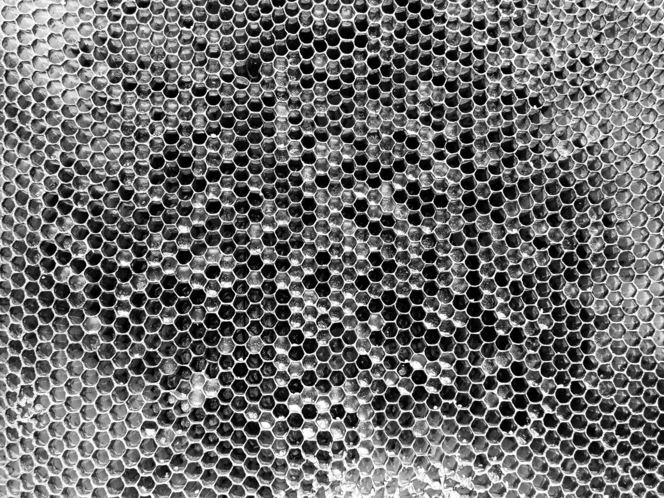 Abstract hexagon structure is honeycomb from bee hive photo