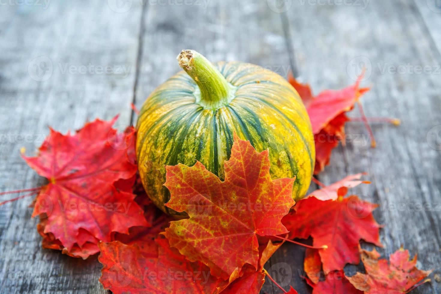 Natural autumn fall view pumpkin and maple leaves on wooden background. Inspirational october or september wallpaper. Change of seasons, ripe organic food concept. Halloween party Thanksgiving day. photo