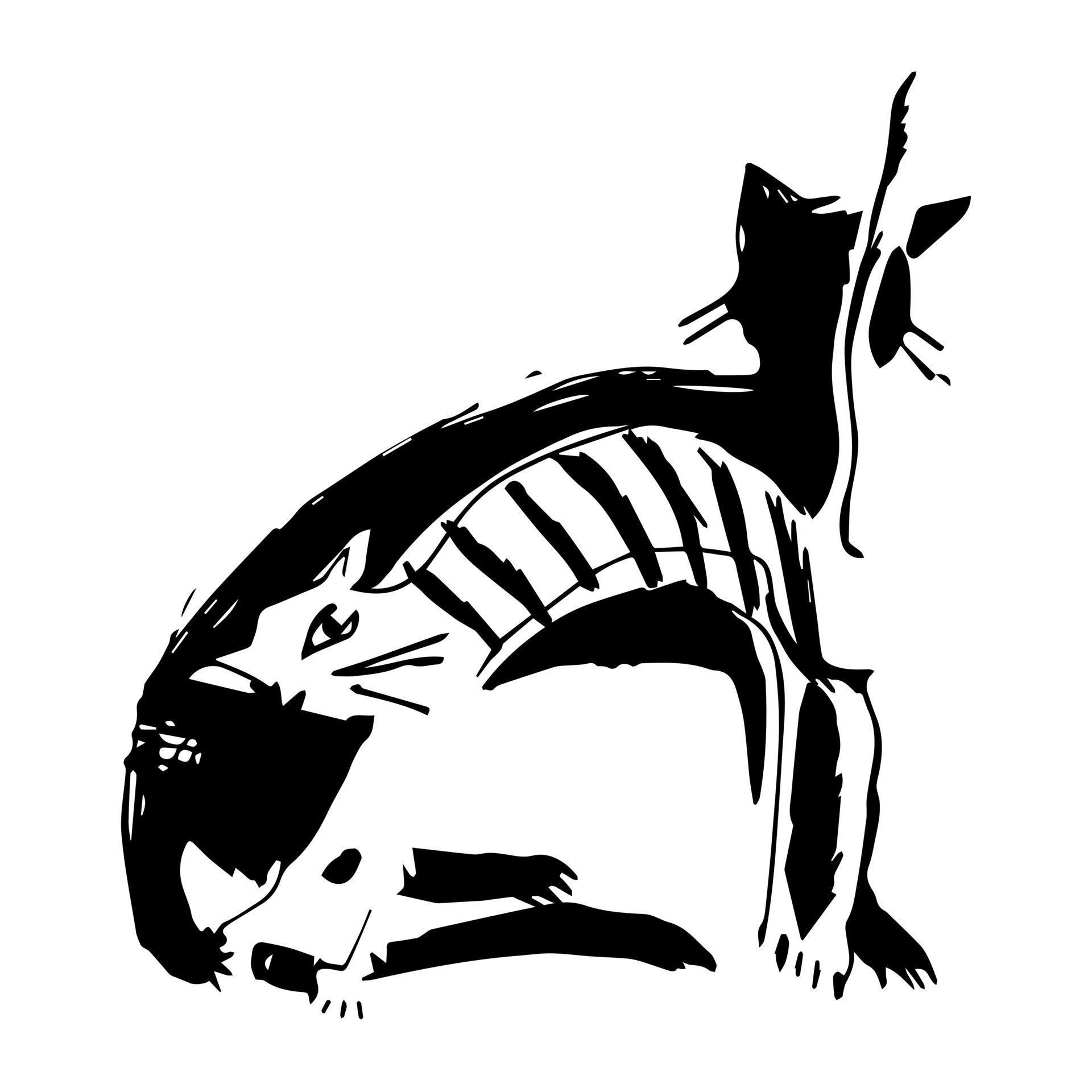 White cat, black cat. March Cats 12825350 Vector Art at Vecteezy