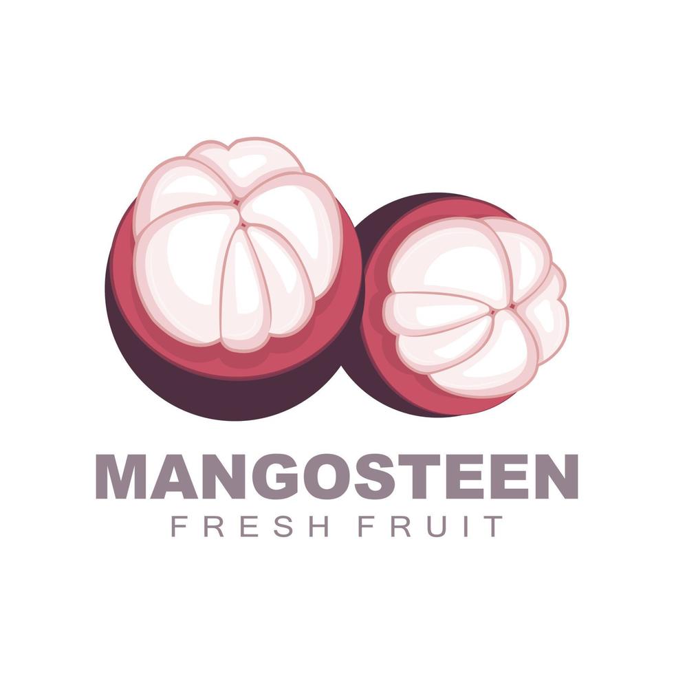 logotipo de mangostán, ilustración de carne de mangostán, reina de fruta rica en vitaminas, diseño de plantilla de etiqueta de vector de logotipo de fruta