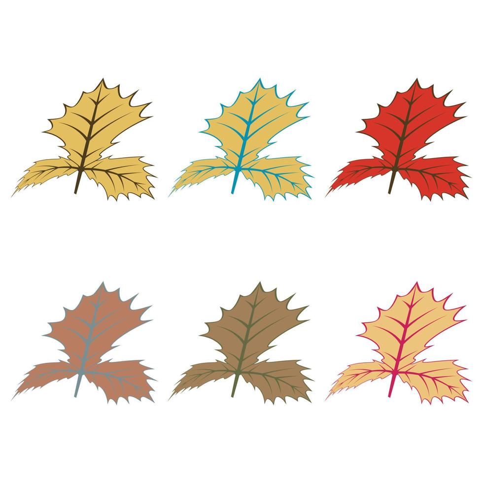Maple leaf logo Template vector icon illustration design