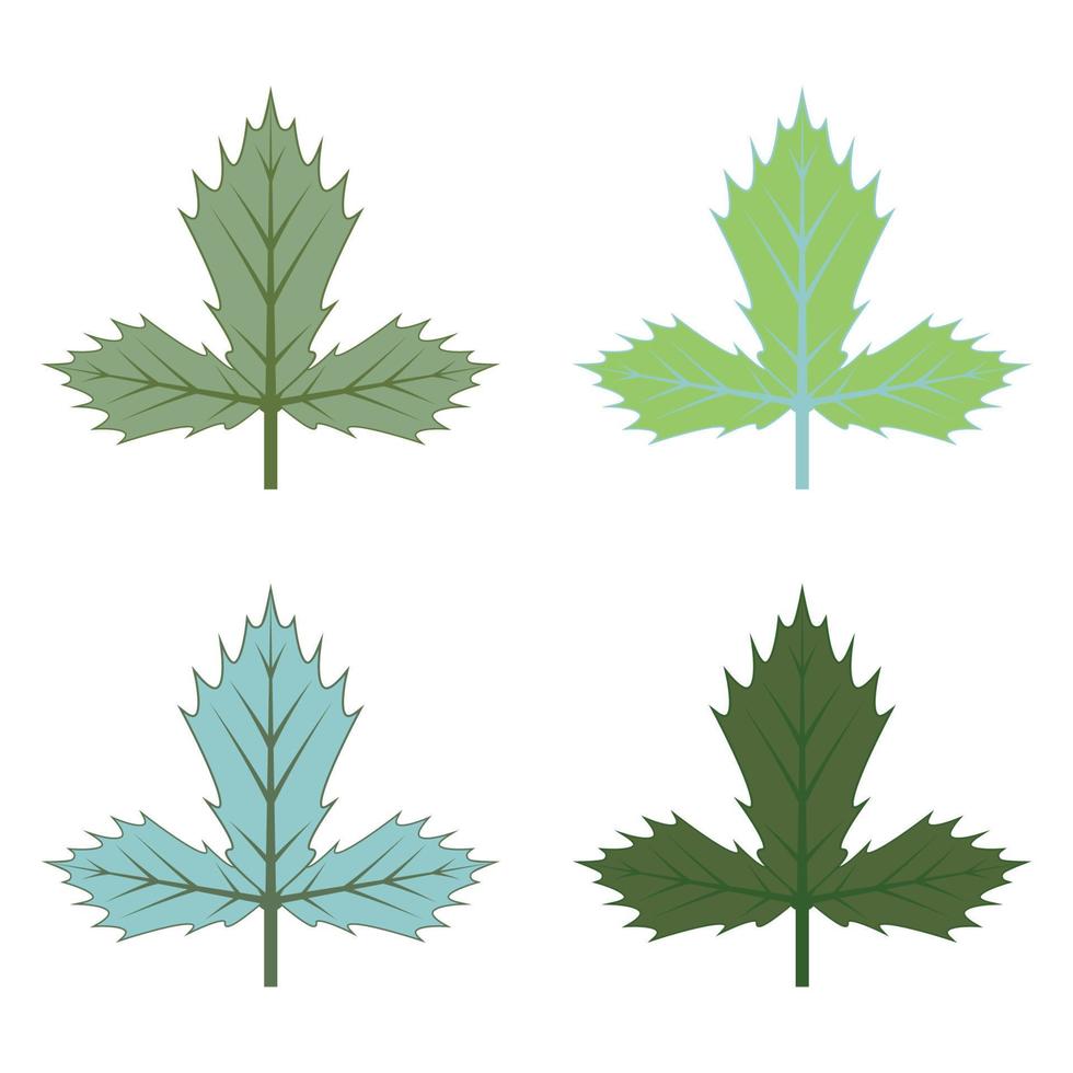 Maple leaf logo Template vector icon illustration design