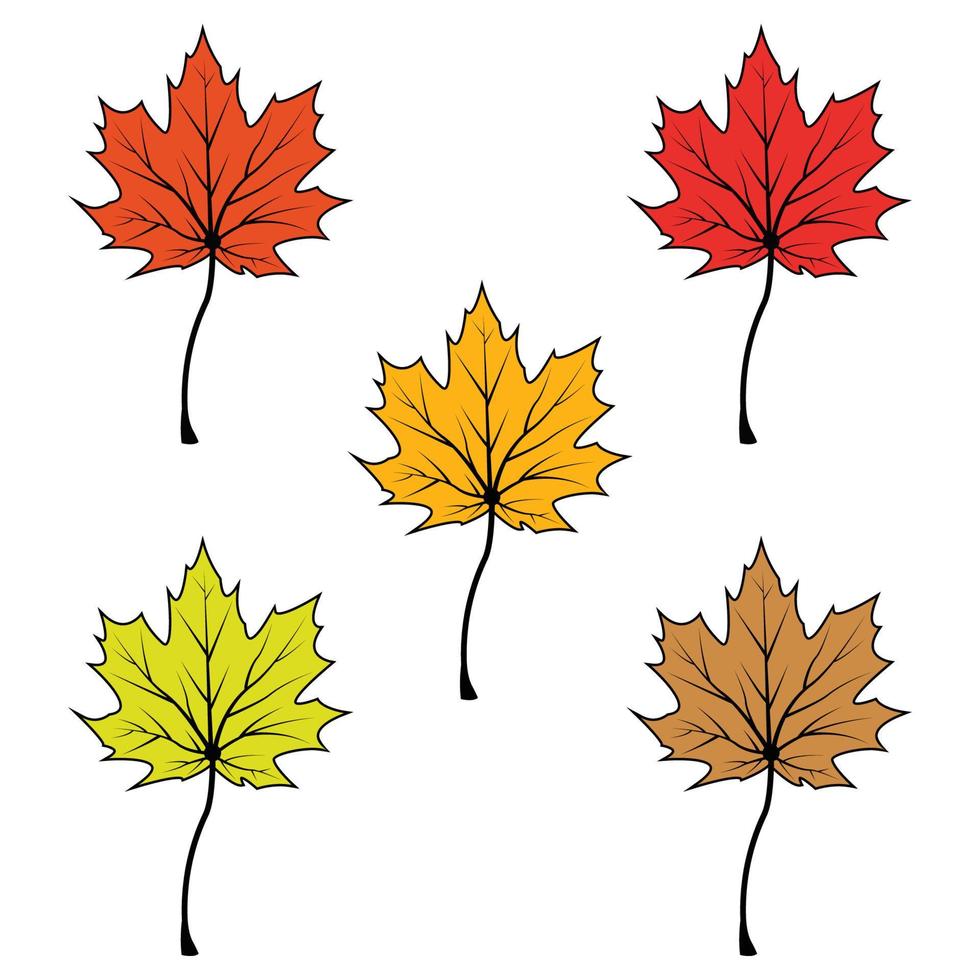 Maple leaf logo Template vector icon illustration design