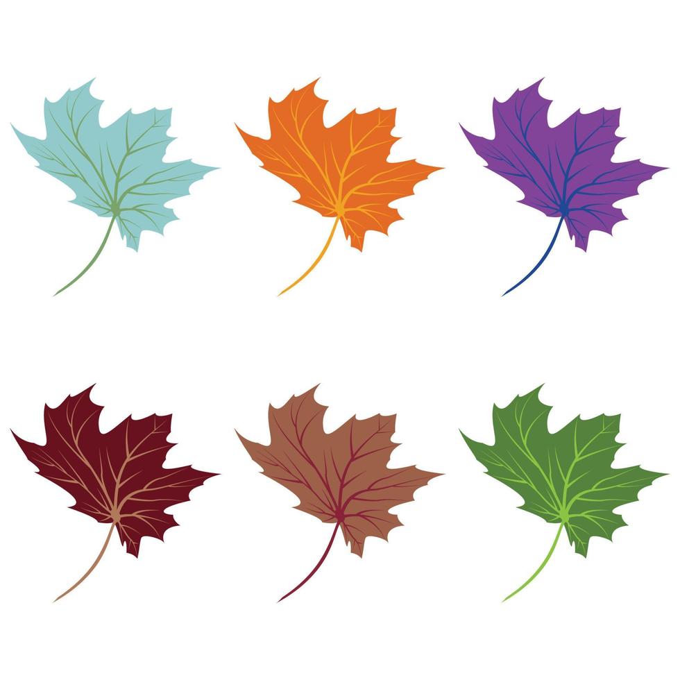 Maple leaf logo Template vector icon illustration design