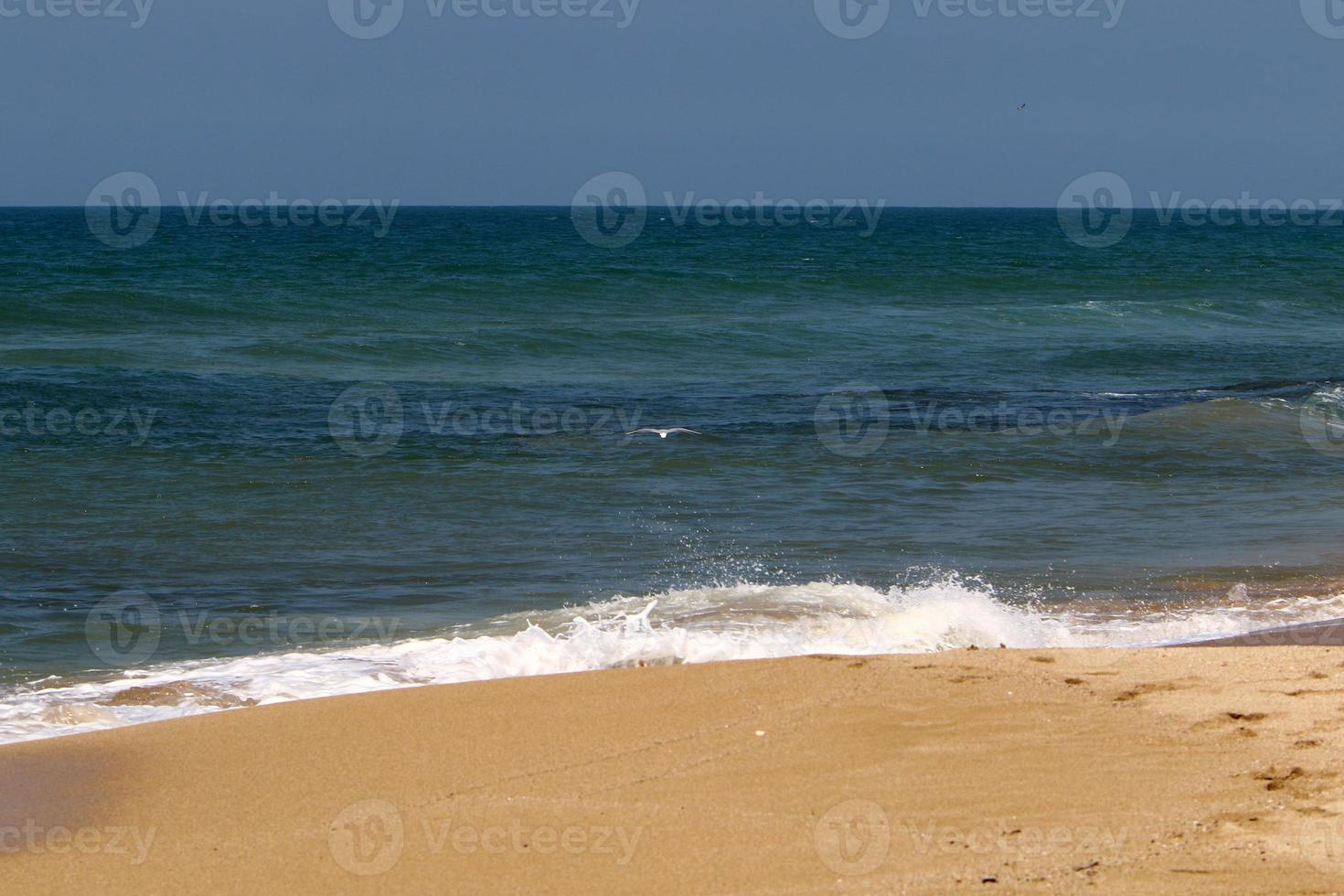 Coast of the Mediterranean Sea in the north of the State of Israel. photo