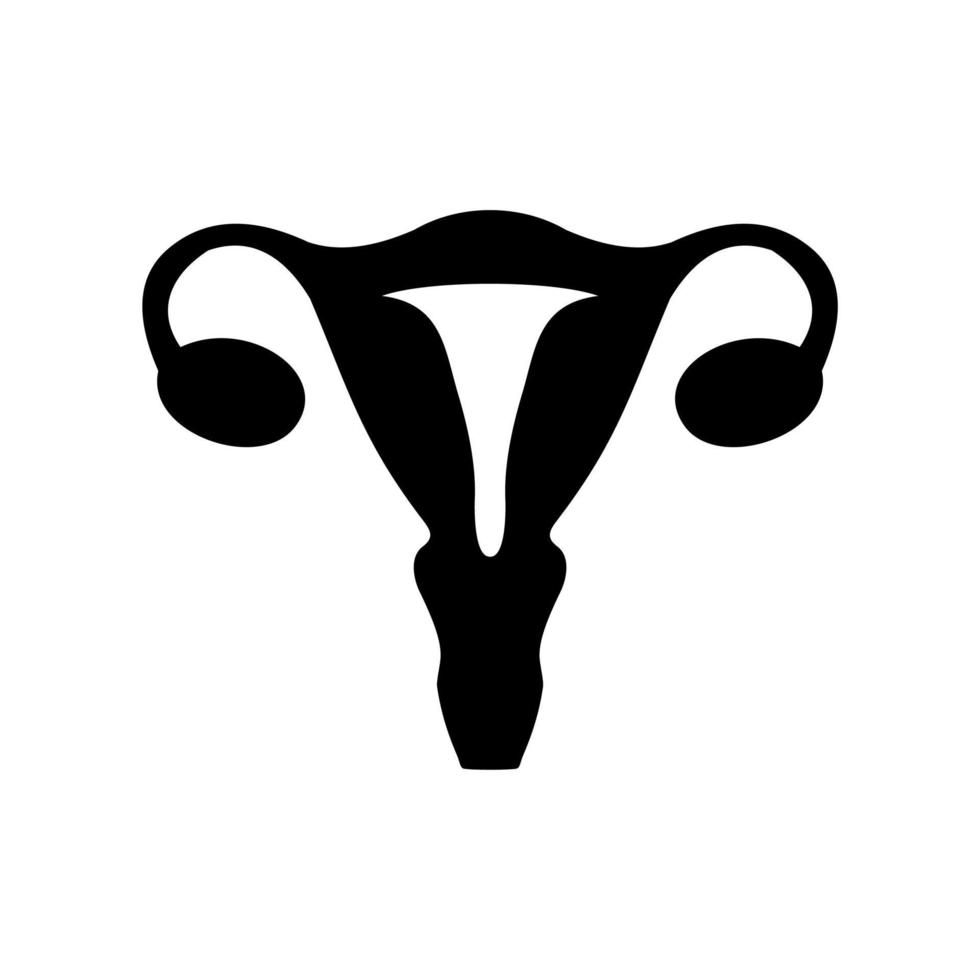 uterus flat icon vector