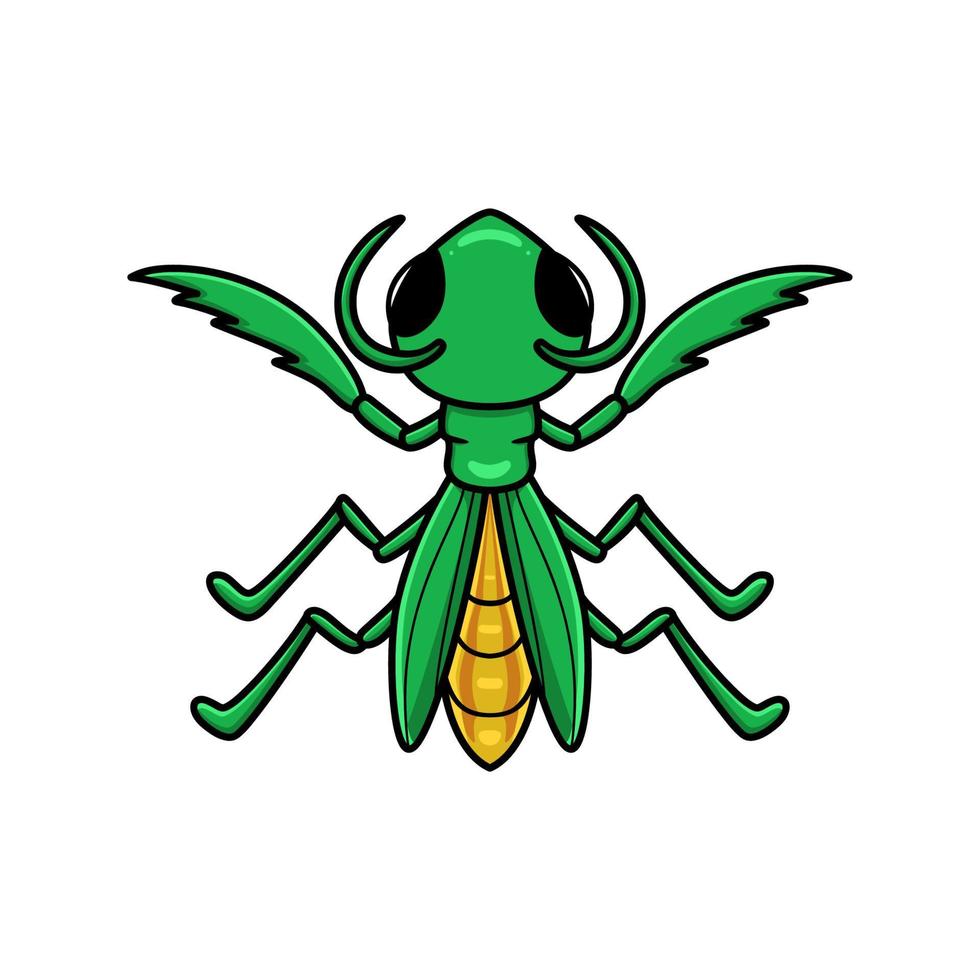 Cute little mantis cartoon character vector